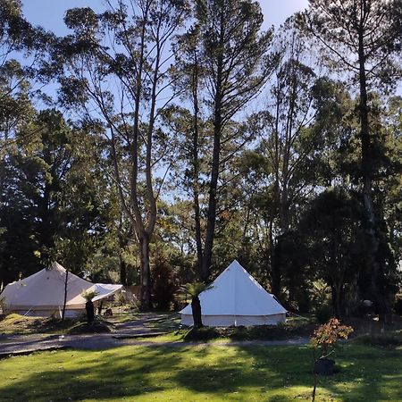 Glamping At Zeehan Bush Camp Hotel Exterior photo