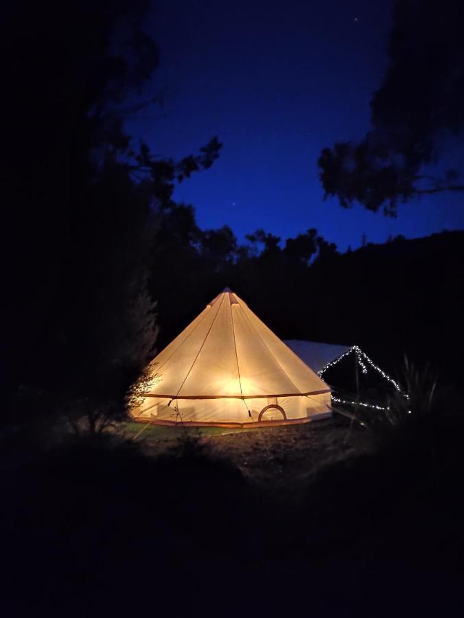 Glamping At Zeehan Bush Camp Hotel Exterior photo