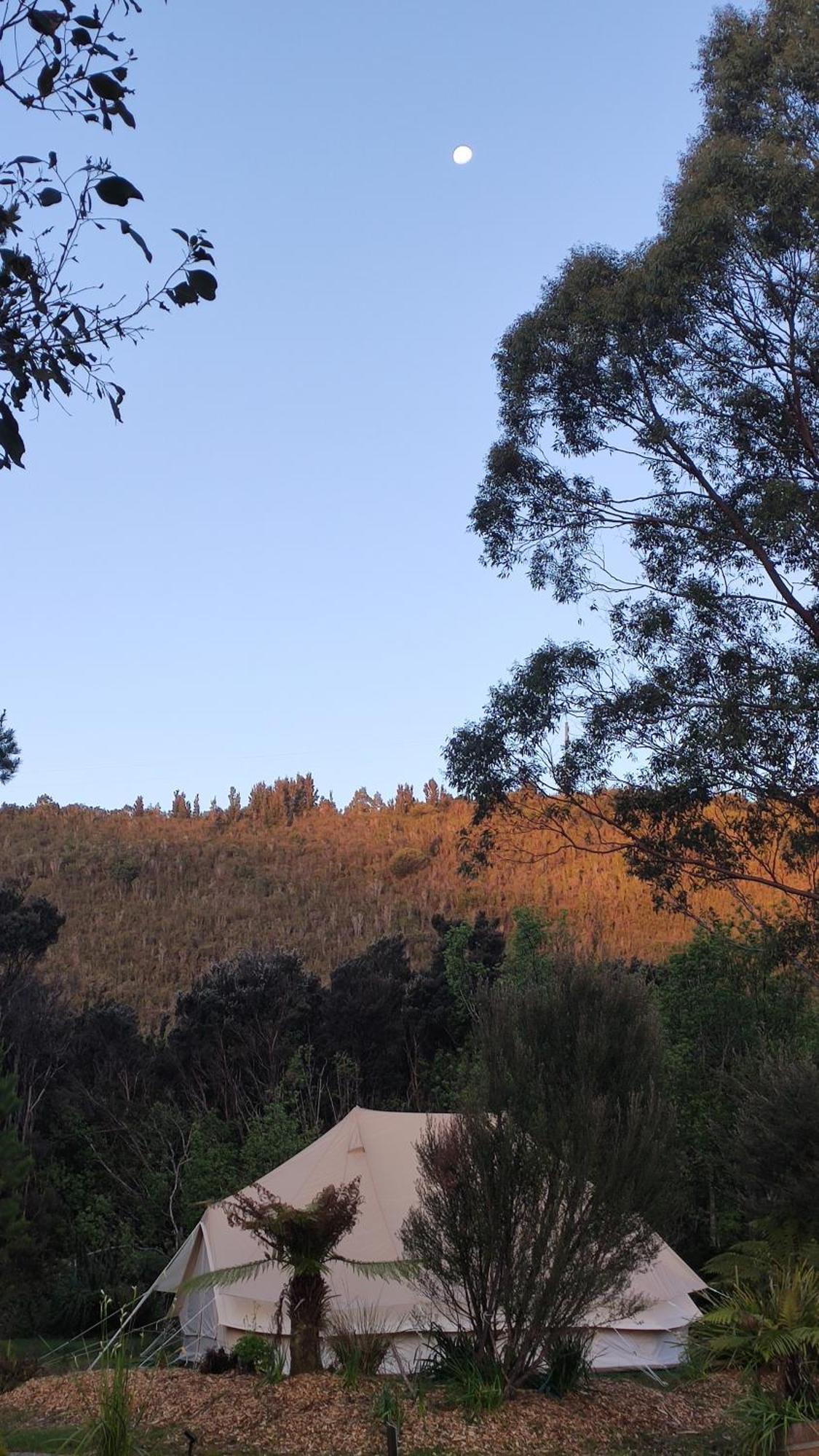 Glamping At Zeehan Bush Camp Hotel Exterior photo