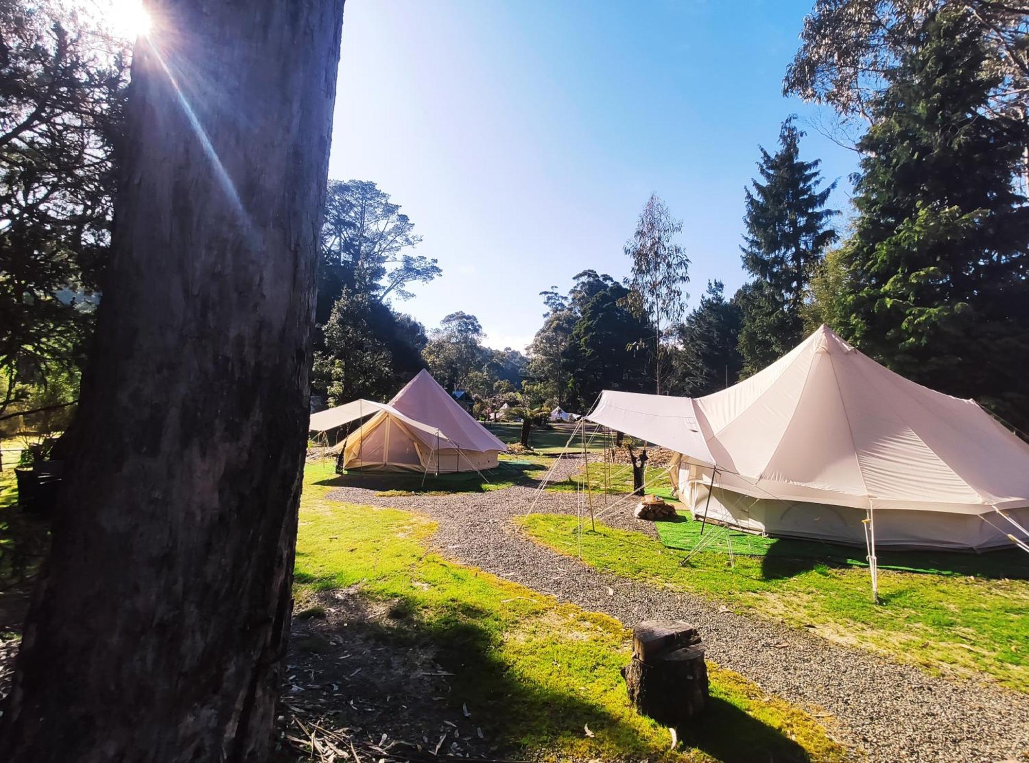 Glamping At Zeehan Bush Camp Hotel Exterior photo