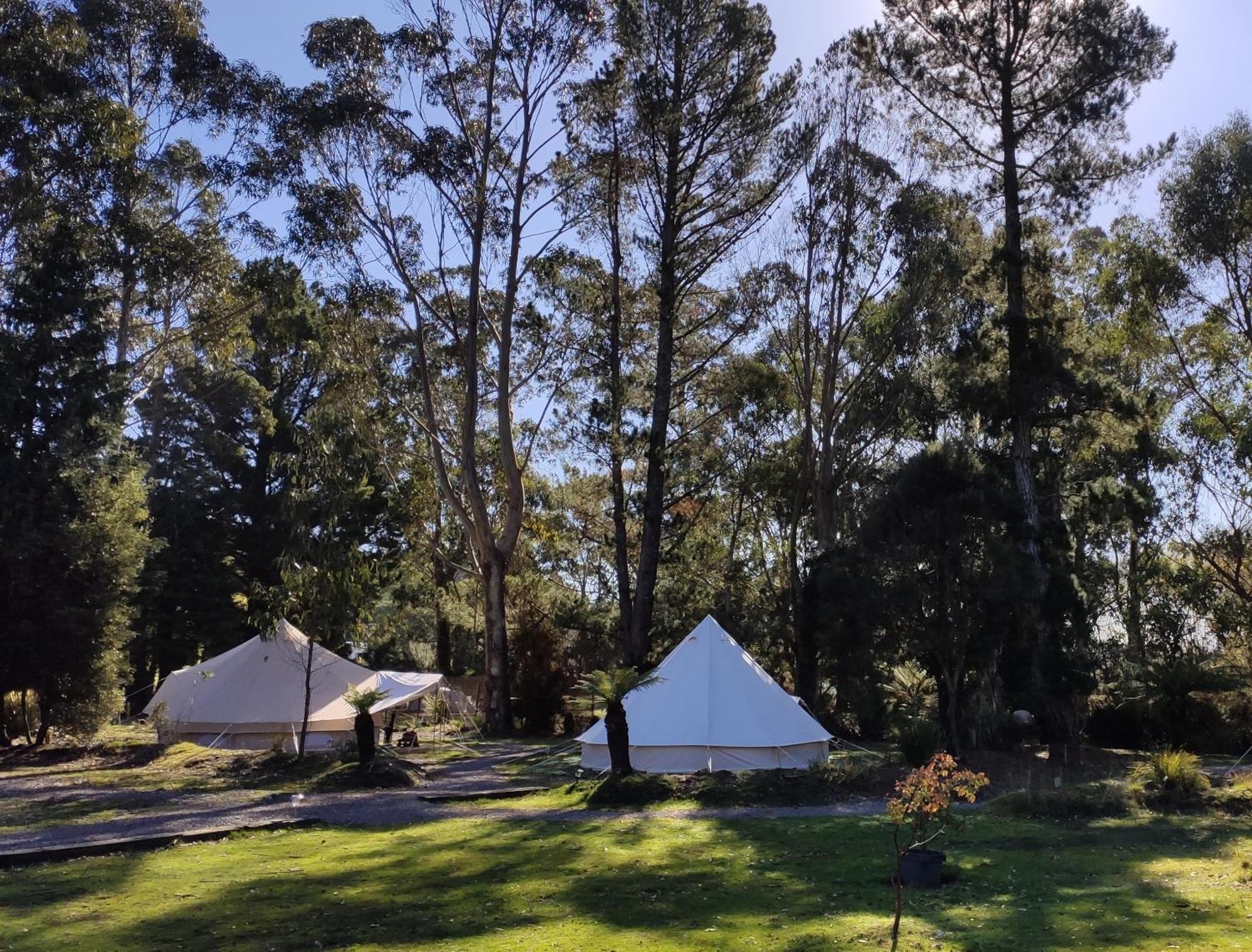 Glamping At Zeehan Bush Camp Hotel Exterior photo